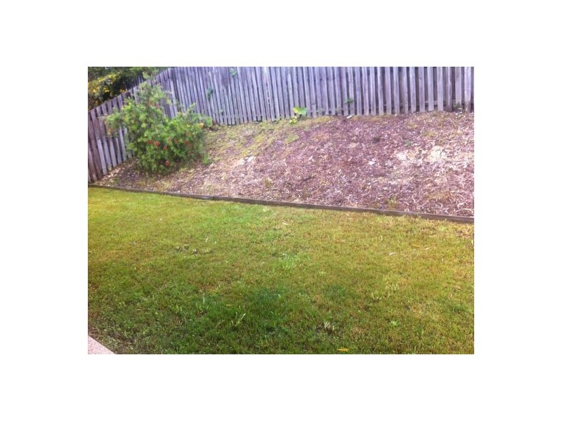 17 Matthews Cresent, Pimpama QLD 4209