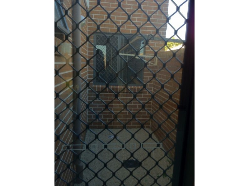 71 Codrington Circuit, Pacific Pines QLD 4211