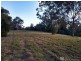 186 Gold Coast Springbrook Road, Mudgeeraba QLD 4213