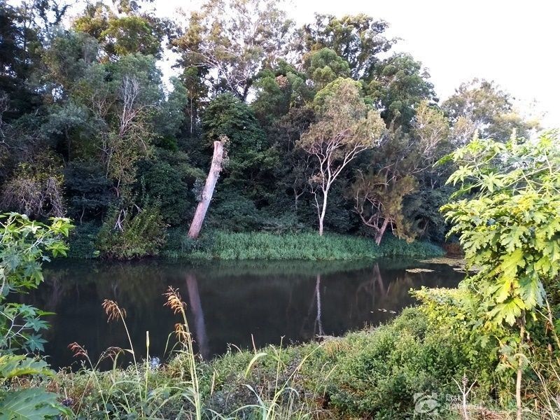 186 Gold Coast Springbrook Road, Mudgeeraba QLD 4213