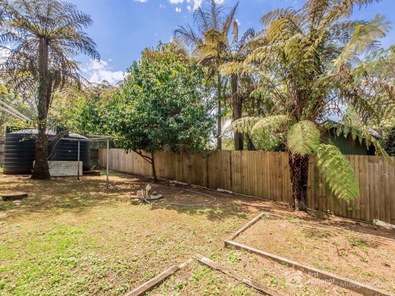 17 Forestry Road, Springbrook QLD 4213