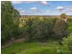 19 Grandview Terrace, Tallai QLD 4213