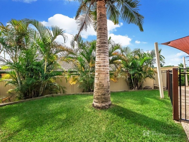 10 Castaway Court, Robina QLD 4226