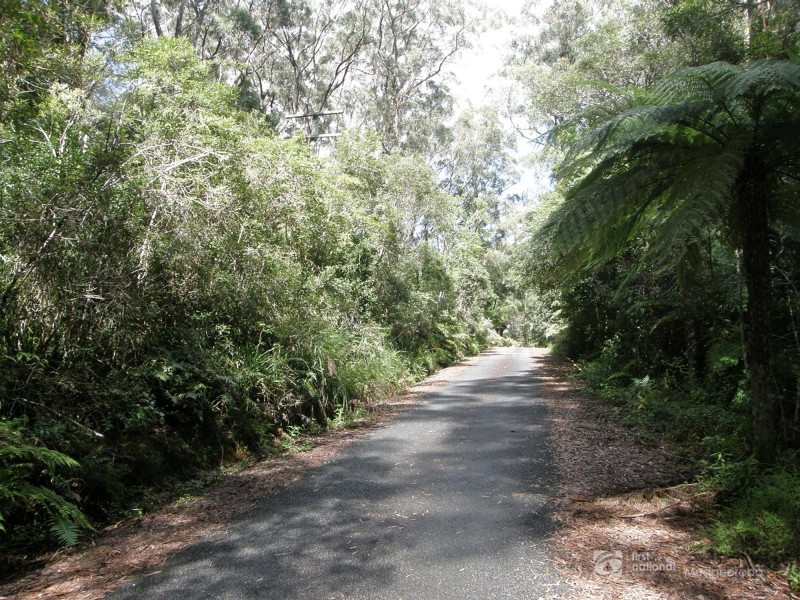 19 & 21 Banksia Road, Springbrook QLD 4213