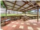 157 Dugandan Street, Nerang QLD 4211