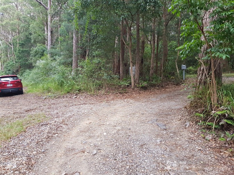 1937 Springbrook Road, Springbrook QLD 4213