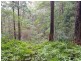1937 Springbrook Road, Springbrook QLD 4213