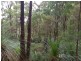 1937 Springbrook Road, Springbrook QLD 4213