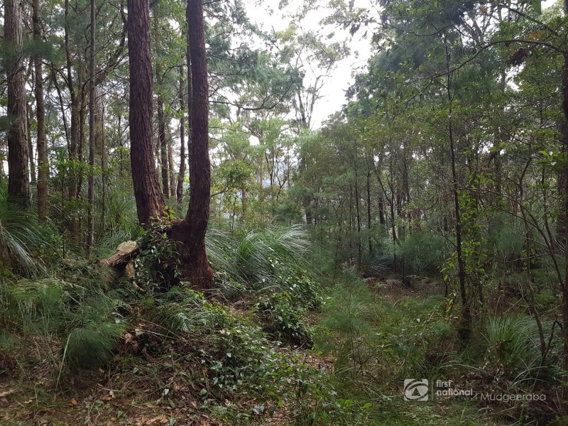 1937 Springbrook Road, Springbrook QLD 4213