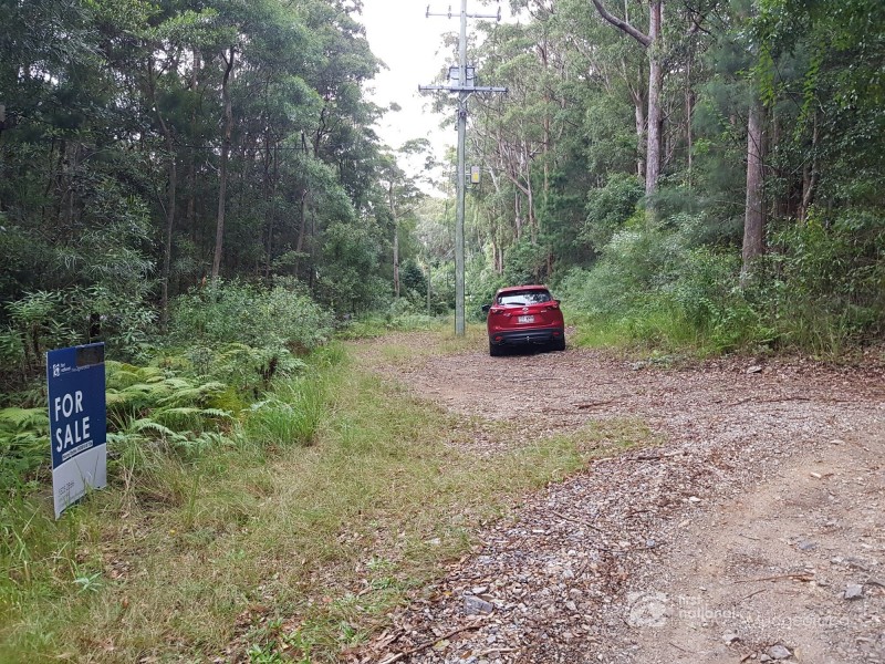 1937 Springbrook Road, Springbrook QLD 4213