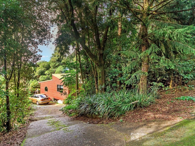 345 Repeater Station Road, Springbrook QLD 4213