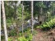 23 Lloyds Road, Springbrook QLD 4213