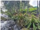 23 Lloyds Road, Springbrook QLD 4213