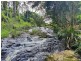 23 Lloyds Road, Springbrook QLD 4213