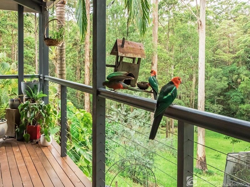 118 Waters Rd, Bonogin QLD 4213