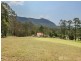 2903 Nerang Murwillumbah Road, Natural Bridge QLD 4211