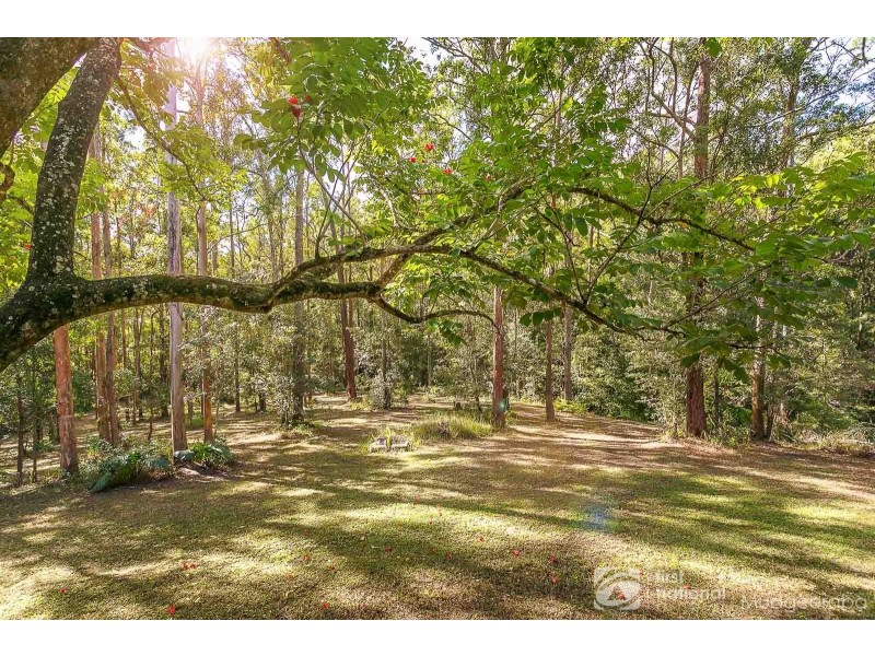 7 Daintree Court, Austinville QLD 4213