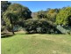 7 Forestry Road, Springbrook QLD 4213
