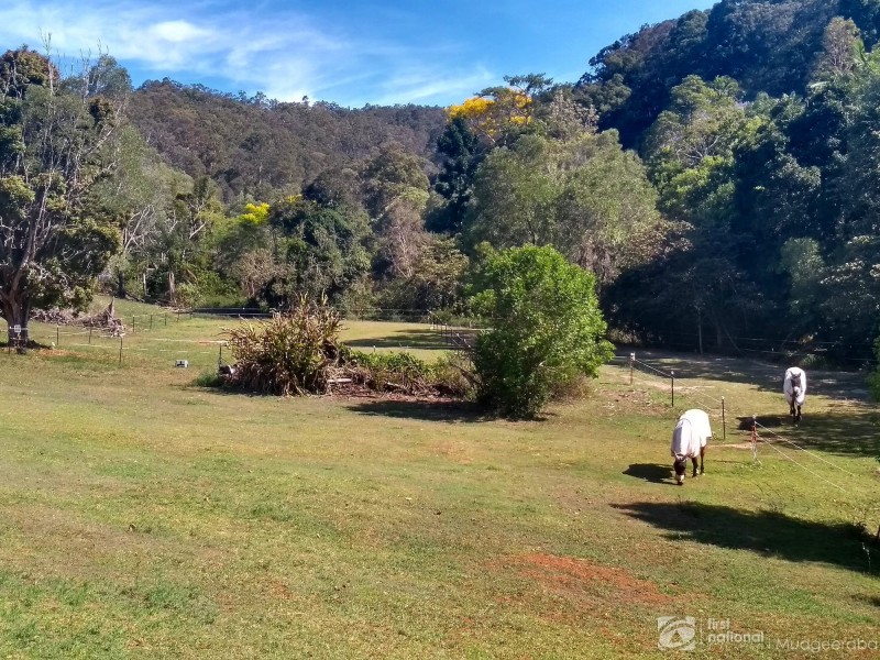 19 Monaro Road, Mudgeeraba QLD 4213