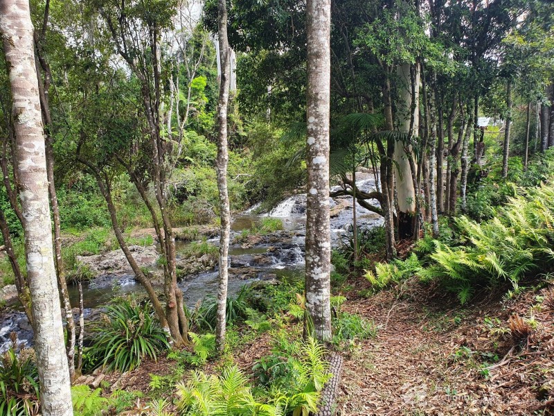 23 Lloyds Road, Springbrook QLD 4213