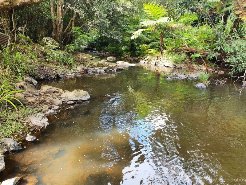 23 Lloyds Road, Springbrook QLD 4213