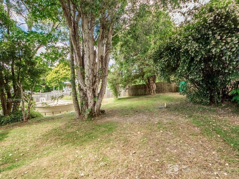 12 Lloyds Road, Springbrook QLD 4213