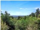 345 Repeater Station Road, Springbrook QLD 4213