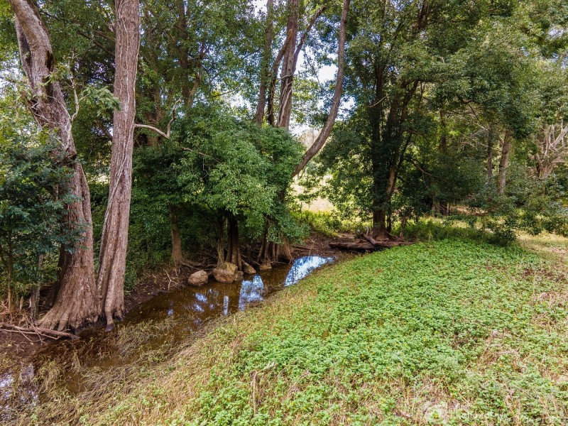 47 Mark Way, Mudgeeraba QLD 4213