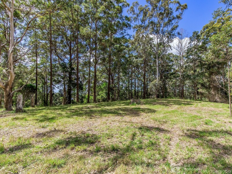1806 Gold Coast Springbrook Road, Springbrook QLD 4213