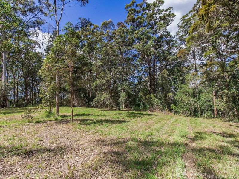 1806 Gold Coast Springbrook Road, Springbrook QLD 4213
