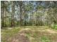 1806 Gold Coast Springbrook Road, Springbrook QLD 4213