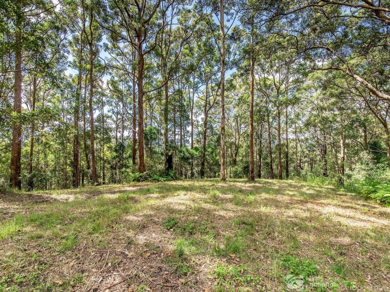 1806 Gold Coast Springbrook Road, Springbrook QLD 4213