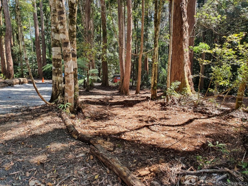 7 Wattle Grove, Springbrook QLD 4213