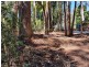 7 Wattle Grove, Springbrook QLD 4213