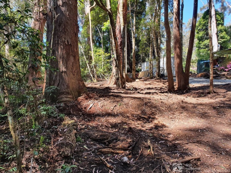 7 Wattle Grove, Springbrook QLD 4213