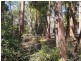 7 Wattle Grove, Springbrook QLD 4213