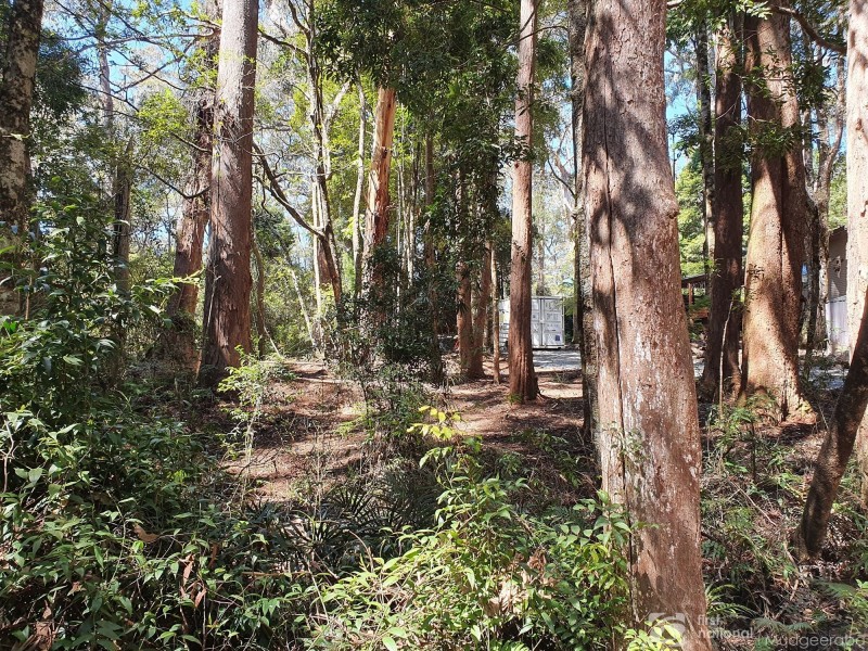 7 Wattle Grove, Springbrook QLD 4213