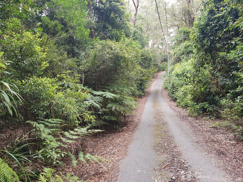 38 Banksia Road, Springbrook QLD 4213