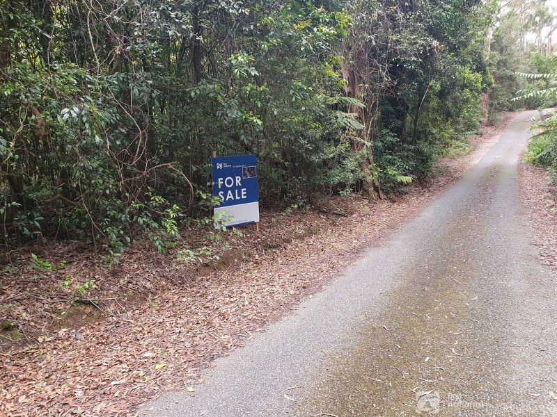 38 Banksia Road, Springbrook QLD 4213