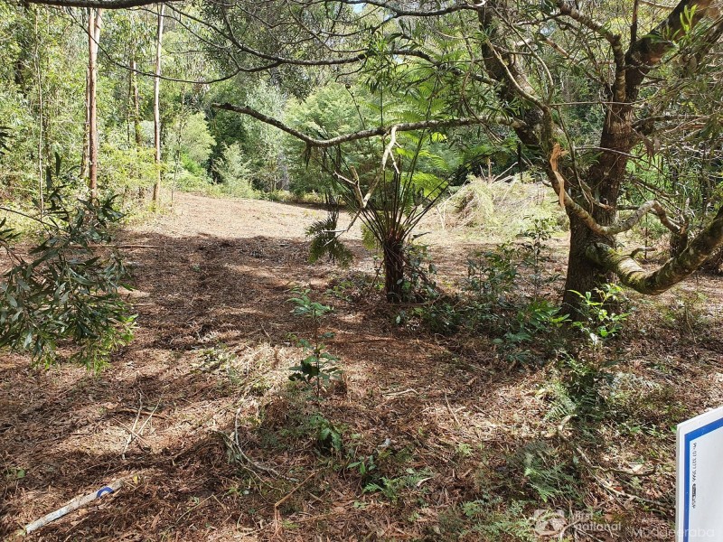 38 Banksia Road, Springbrook QLD 4213