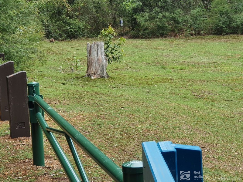 38 Banksia Road, Springbrook QLD 4213