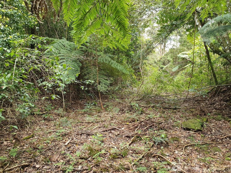 38 Banksia Road, Springbrook QLD 4213