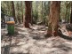 1922 Springbrook Road, Springbrook QLD 4213