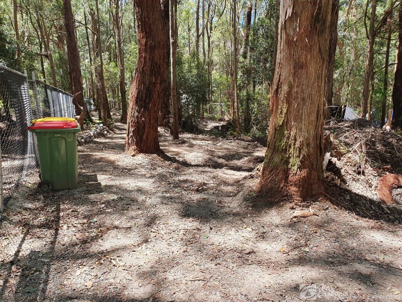 1922 Springbrook Road, Springbrook QLD 4213