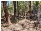 1922 Springbrook Road, Springbrook QLD 4213