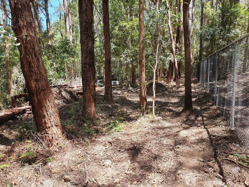 1922 Springbrook Road, Springbrook QLD 4213