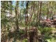 1922 Springbrook Road, Springbrook QLD 4213