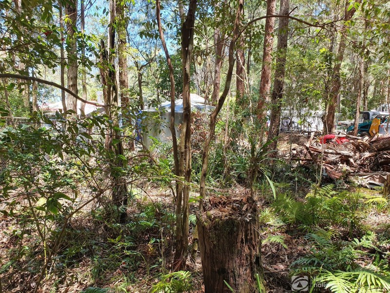 1922 Springbrook Road, Springbrook QLD 4213