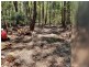 1922 Springbrook Road, Springbrook QLD 4213