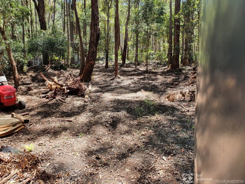 1922 Springbrook Road, Springbrook QLD 4213